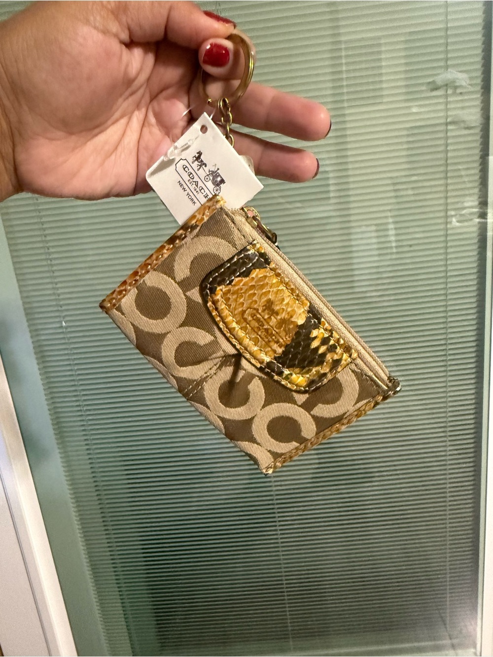 Coach Signature Canvas Card Case with Yellow Snake-Print Accent